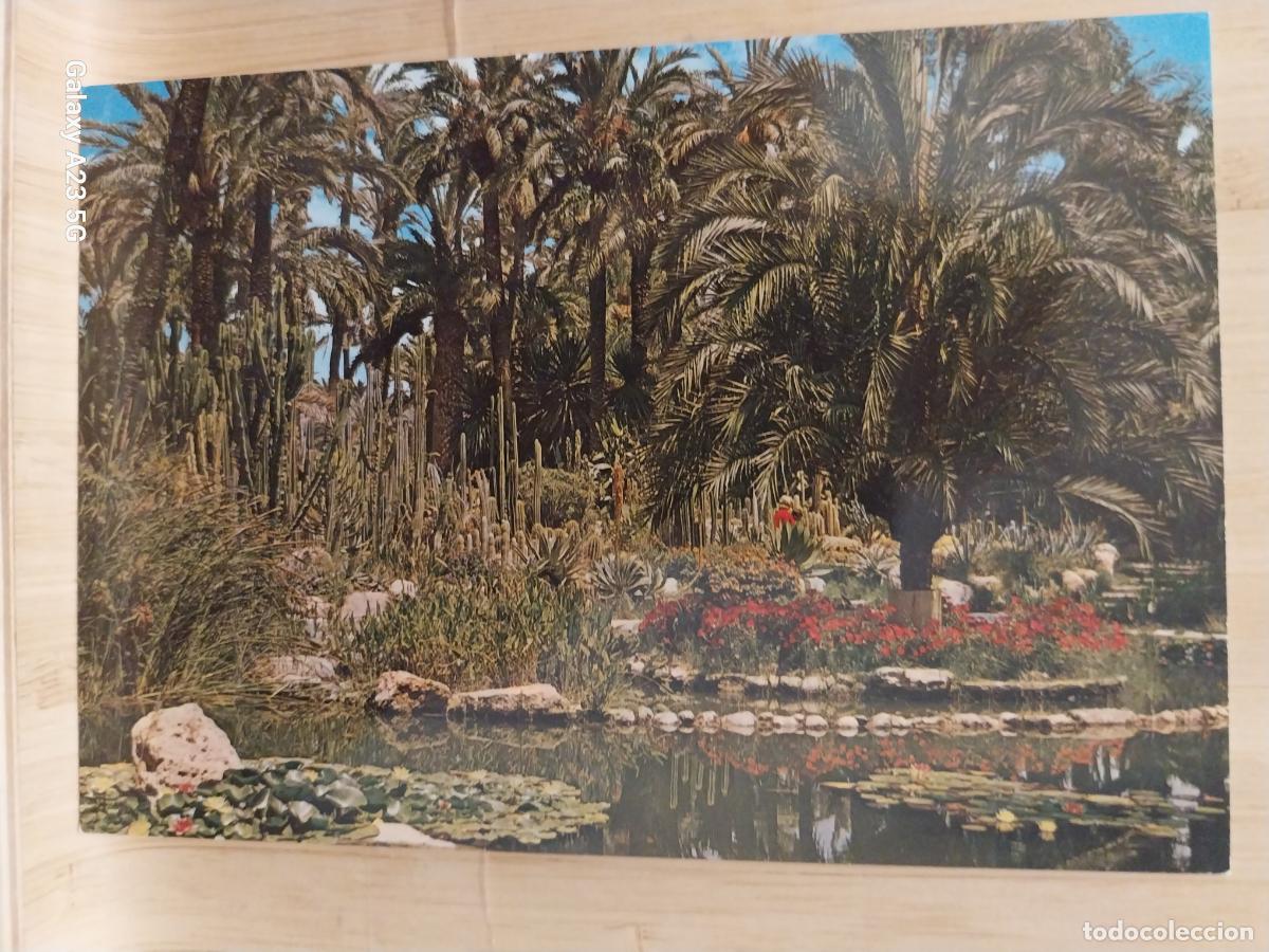 Postales: HUERTO DEL CURA ELCHE LAGO DE LA ROCALLA ED GARRABELLA 74 SC ORIGINAL