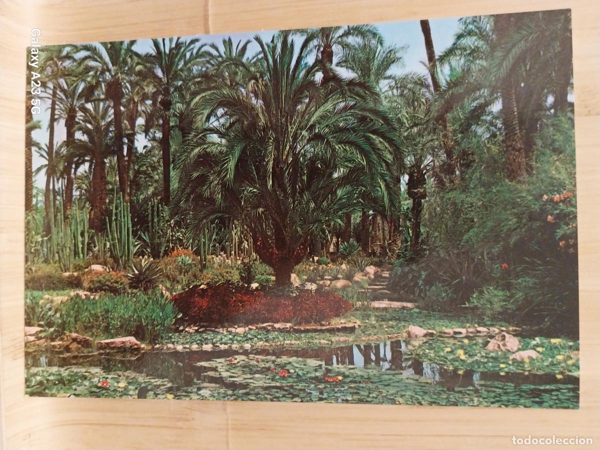 Postales: HUERTO DEL CURA ELCHE LAGO DE LA ROCALLA ED GARRABELLA 88 SC ORIGINAL
