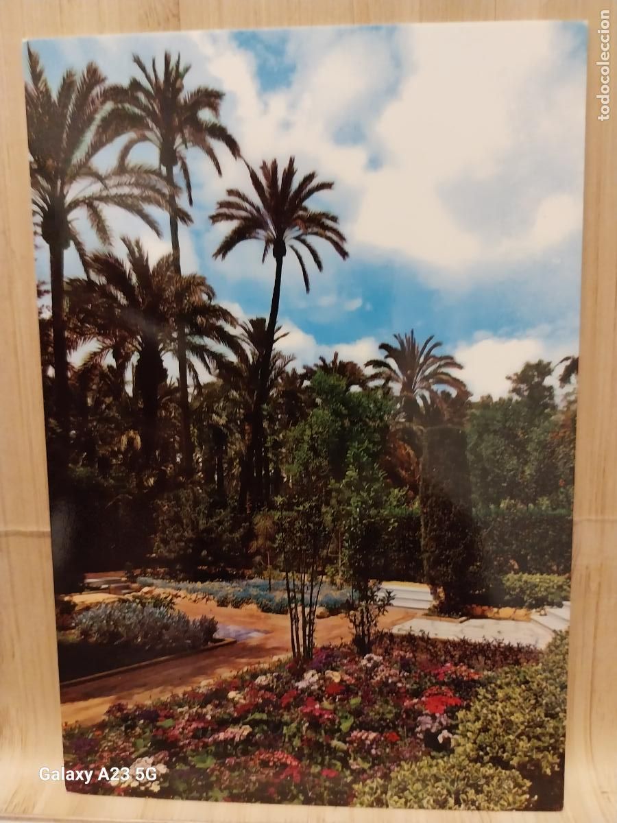 Postales: HUERTO DEL CURA ELCHE ED GARRABELLA 34 SC ORIGINAL