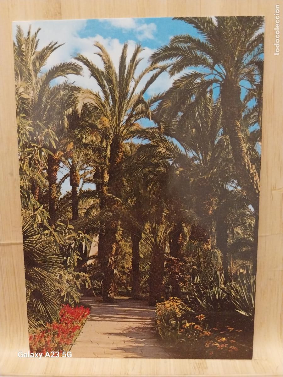 Postales: HUERTO DEL CURA ELCHE ED GARRABELLA 73 SC ORIGINAL