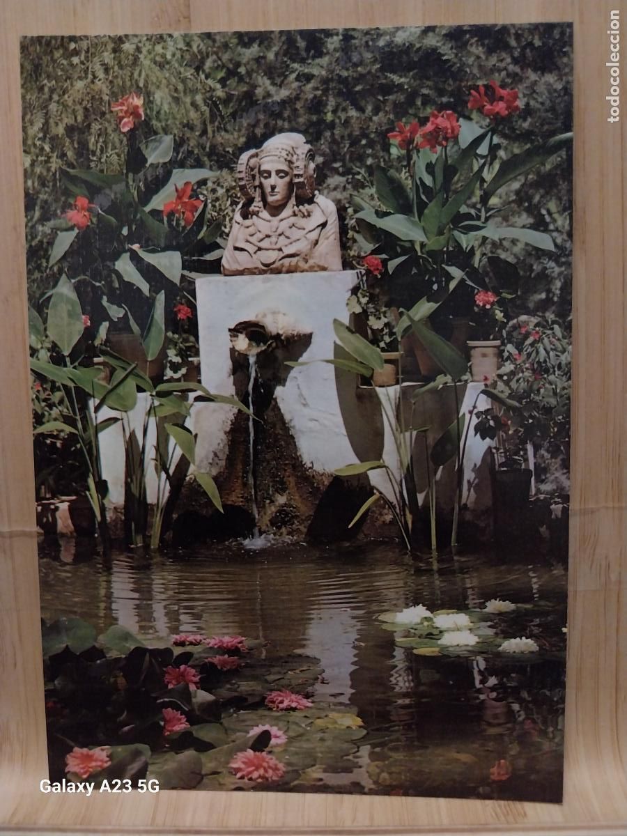 Postales: HUERTO DEL CURA ELCHE ALBERCA DAMA DE ELCHE ED ARRIBAS 2039 SC ORIGINAL