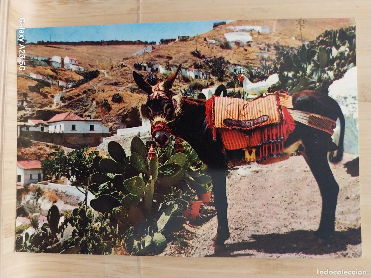 Postales: GRANADA SACROMONTE CHUMBITO BURRITO ED BEASCOA 1235 SC ORIGINAL