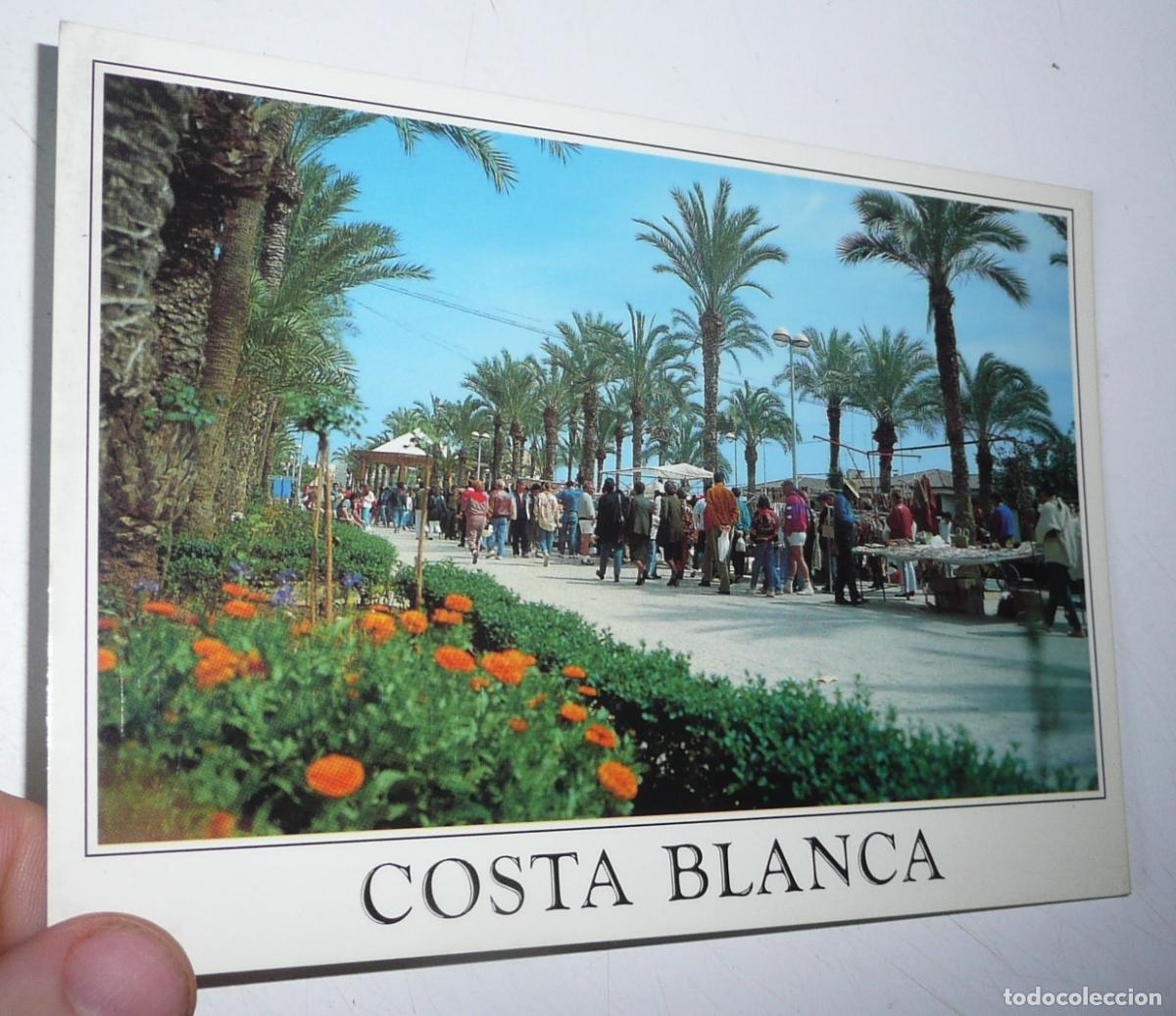 Postales: Postal Costa Blanca Torrevieja A-188 Paseo Vista Alegre. Sin circular.