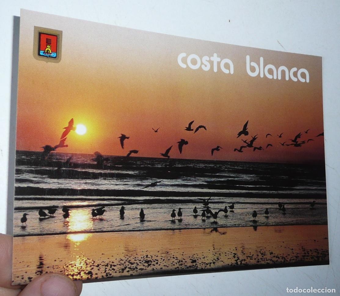 Postales: Postal Costa Blanca N&ordm; 54 Escudo de Oro. Sin circular.