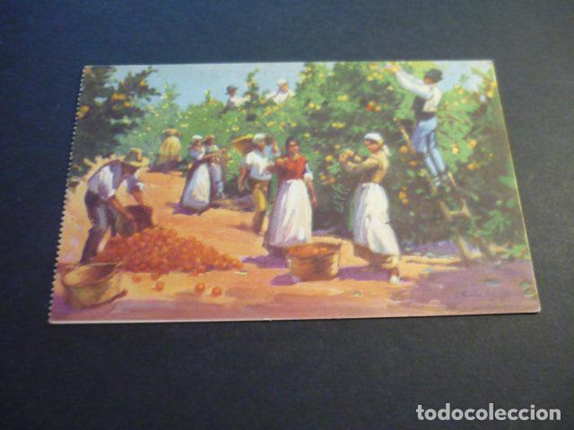 Postales: VALENCIA RECOLECCION DE NARANJA DE C. RUANO LLOPIS