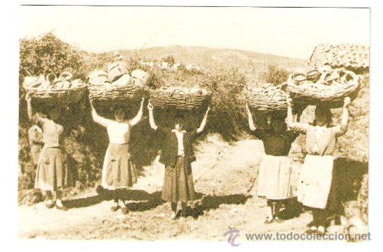 Postales: XIX MOSTRA DA OLERIA DE BU&Ntilde;O - Foto 1