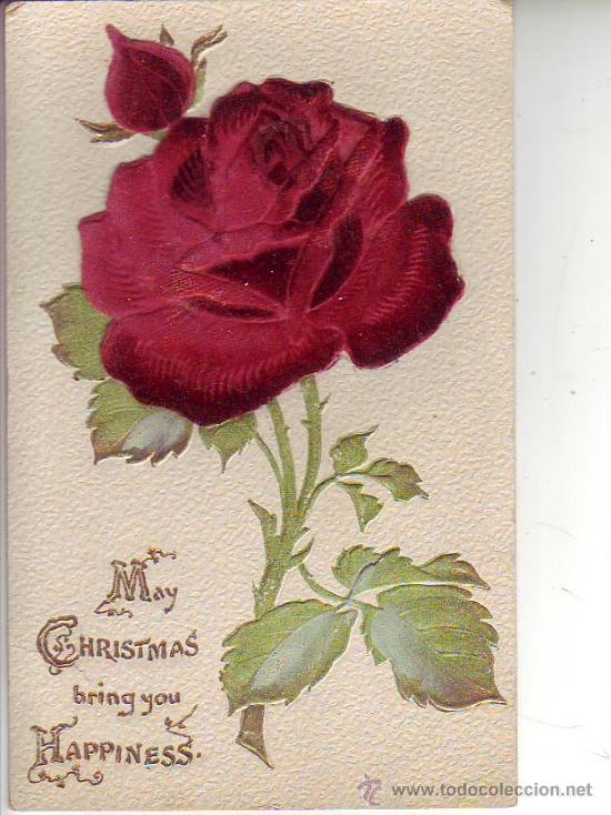 Postales: Rosa en relieve - Foto 1