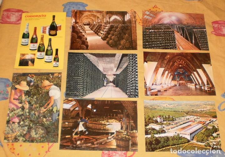 Postales: CAVAS CODORNIU. LOTE 8 POSTALES. A&Ntilde;O 1976. - Foto 1