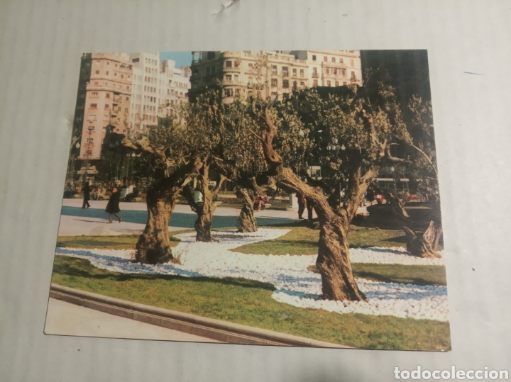 Postales: Aceite de oliva Espa&ntilde;a - Foto 1