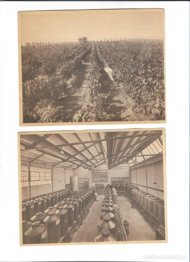 Postales: INDUSTRIAS EN CATALU&Ntilde;A - Foto 2