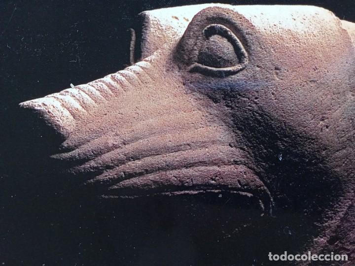 Postales: Lobo del Pajarillo.Huelma. - Foto 2