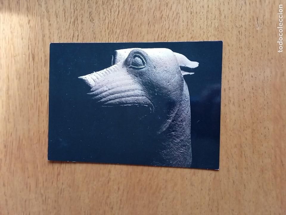 Postales: Lobo del Pajarillo.Huelma. - Foto 1