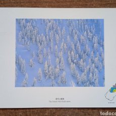 Cartoline: POSTAL THE XVIII OLYMPIC WINTER GANES, NAGANO 1998. CIRCULADA.