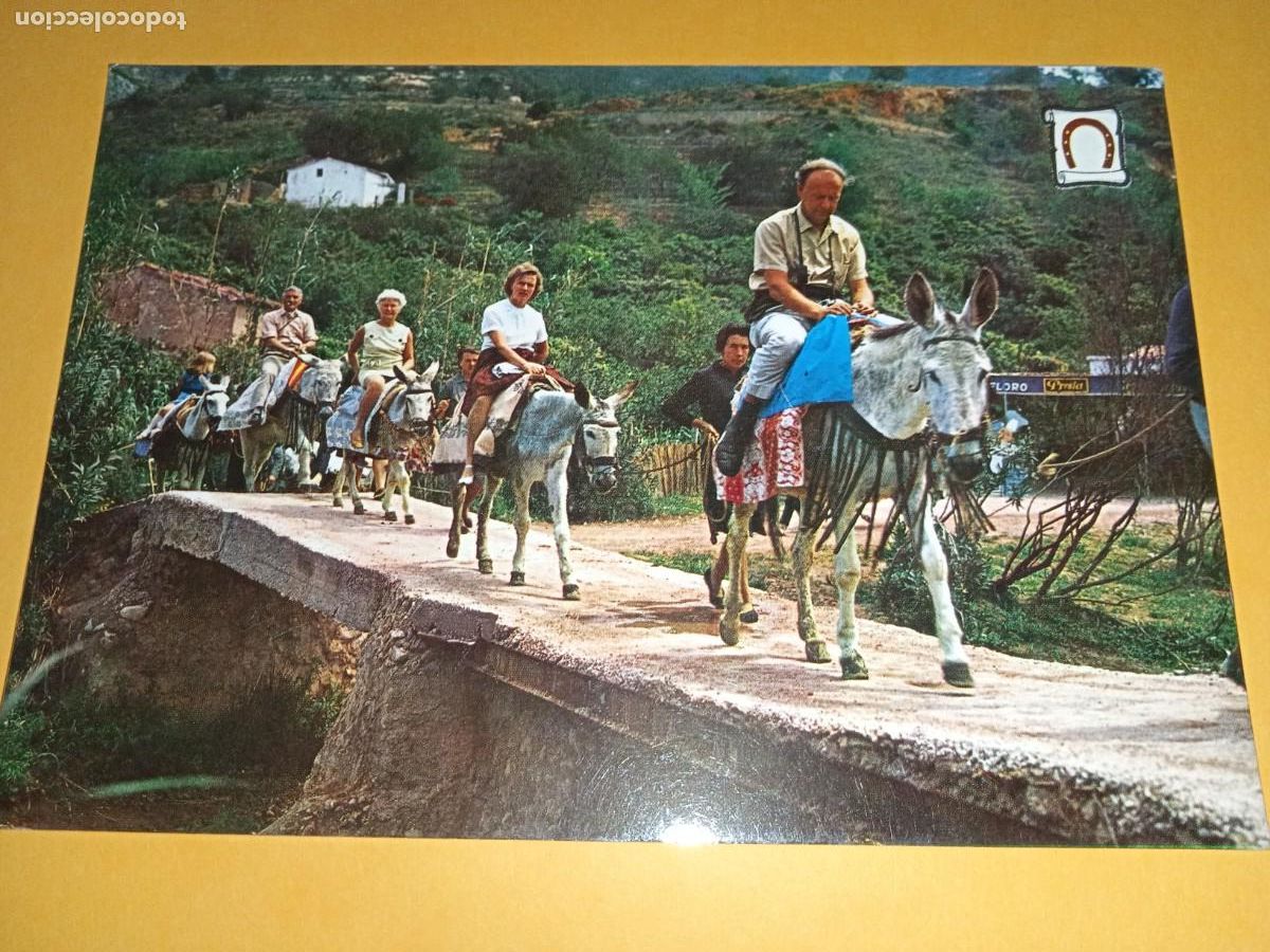 Postales: MARBELLA - BURRITOS TIPICOS. - Foto 1