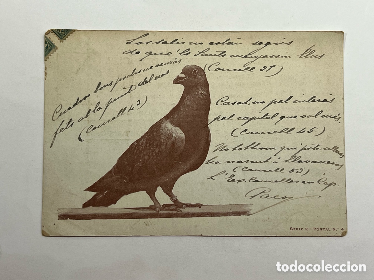 Postales: MADRID. Postal Exposici&oacute;n Internacional. Sociedad Nacional de Avicultores espa&ntilde;oles. Madrid (a.1902)