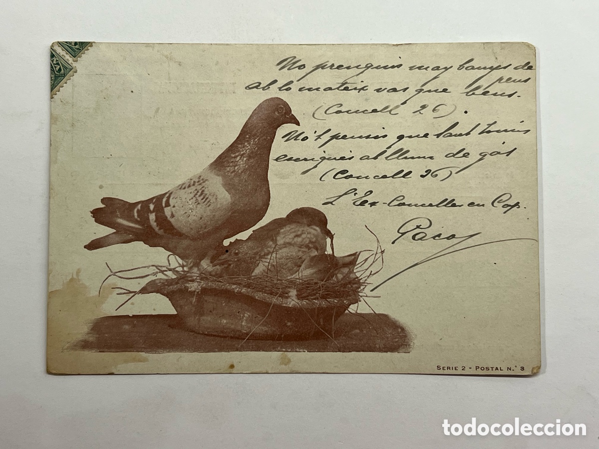 Postales: MADRID. Postal Exposici&oacute;n Internacional. Sociedad Nacional de Avicultores espa&ntilde;oles. Madrid (a.1902)