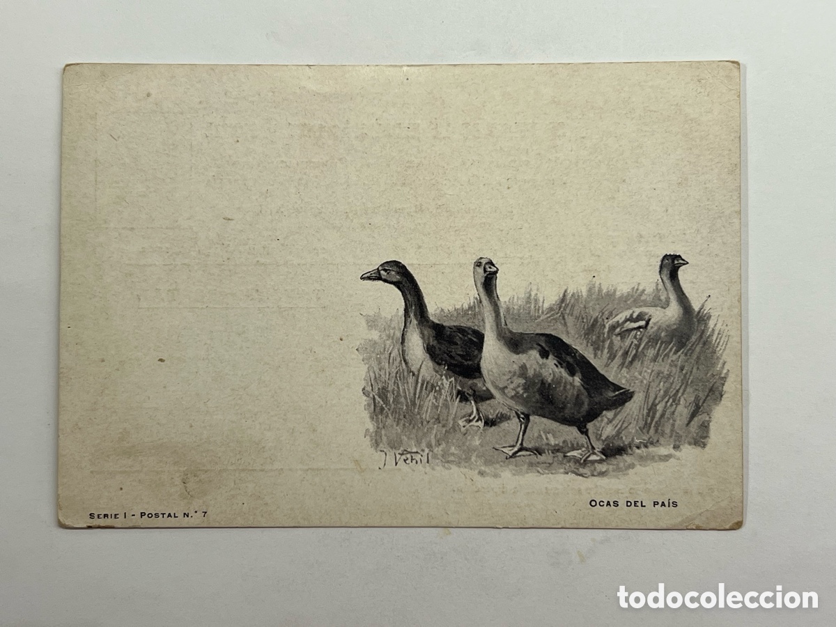 Postales: MADRID. Postal Exposici&oacute;n Internacional. Sociedad Nacional de Avicultores espa&ntilde;oles. Madrid (a.1902)