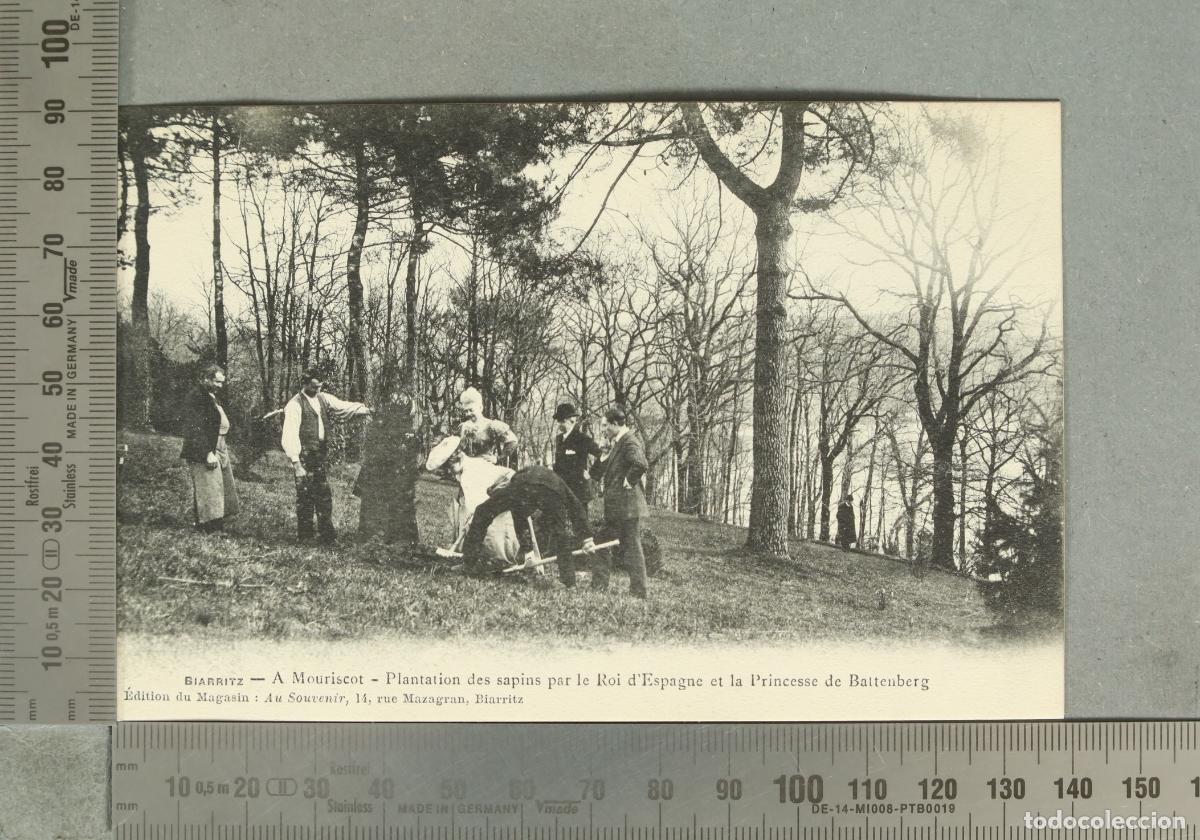Postales: POSTAL Biarritz - A Mouriscot - Plantation des sapins par le Roi d'Espagne et la Princesse de