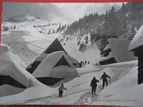 Coleccionismo deportivo: Esqui. Postal polaca. Sin circular - Foto 1