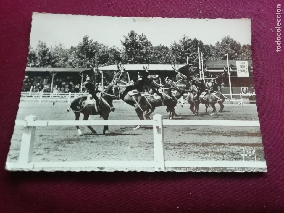 Coleccionismo deportivo: H&iacute;pica. Saumur - Foto 1