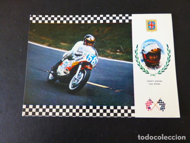 Coleccionismo deportivo: BARRY SHEENE MOTOCICLISTA POSTAL - Foto 1
