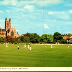 Coleccionismo deportivo: CRICKET - INGLATERRA - WORCESTER - THE CATHEDRAL FROM THE CRICKET GROUND - 139X89MM