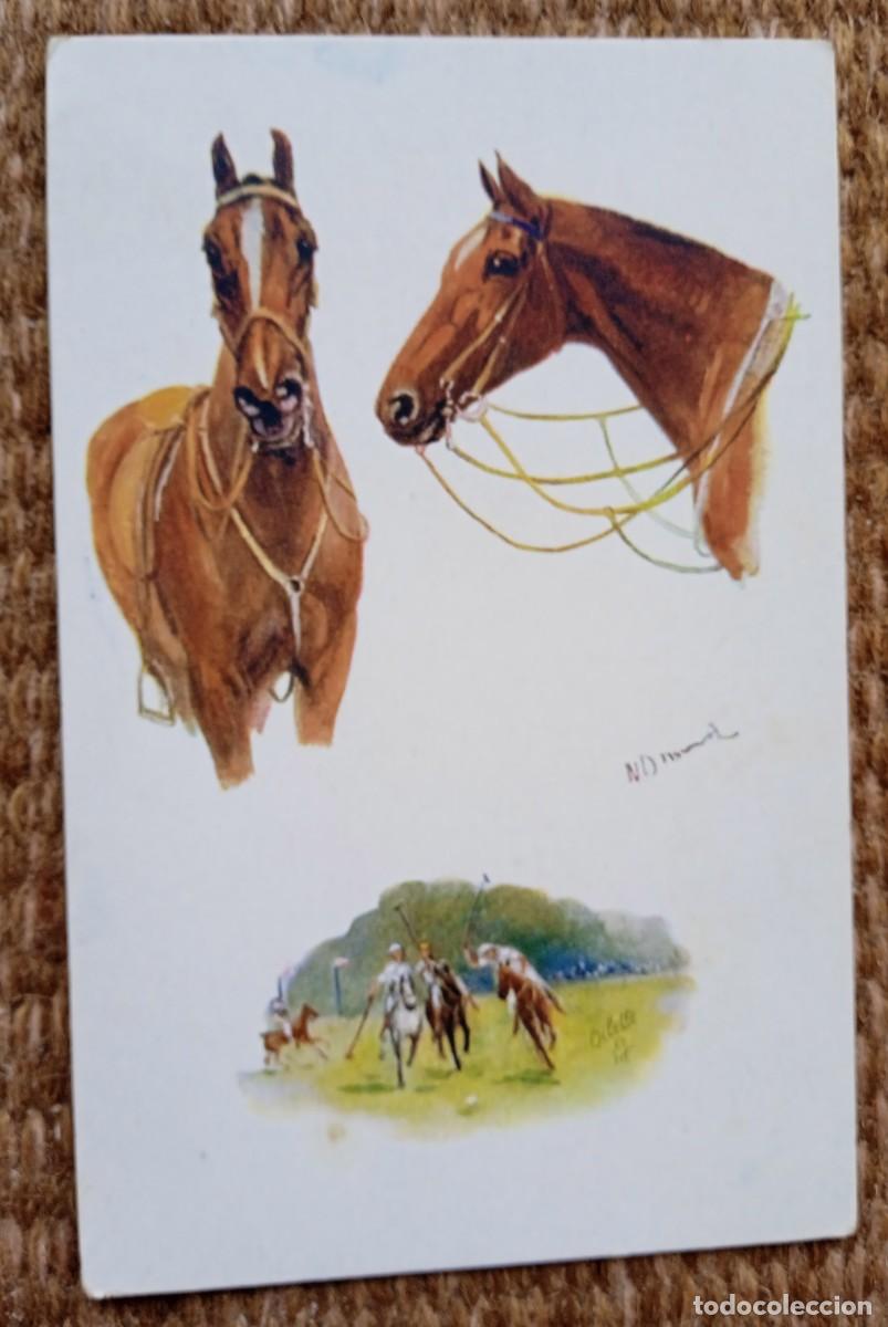 Coleccionismo deportivo: CABALLO DE POLO - Foto 1