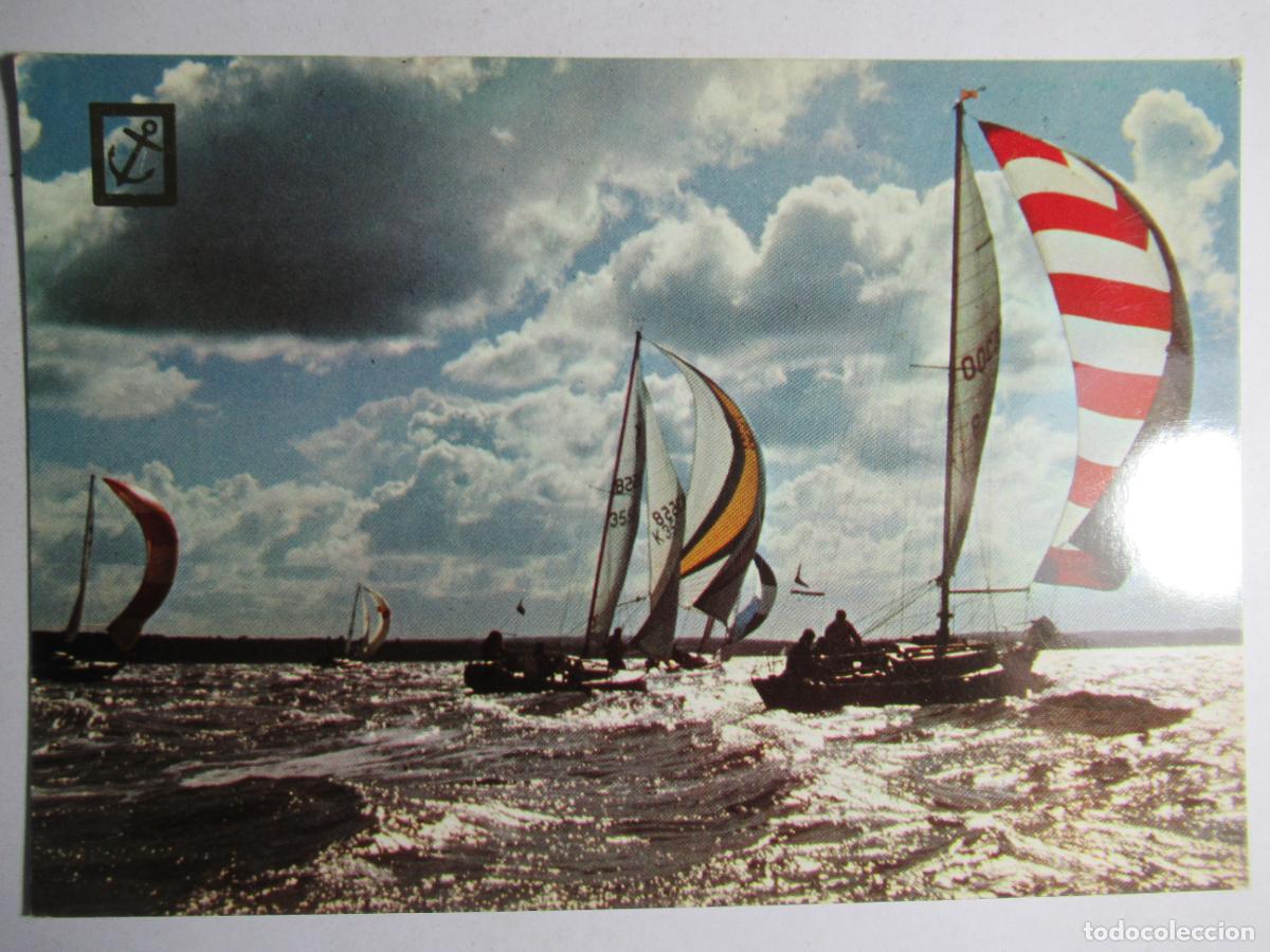 Coleccionismo deportivo: Competici&oacute;n de Vela - Escudo de Oro - Foto 1