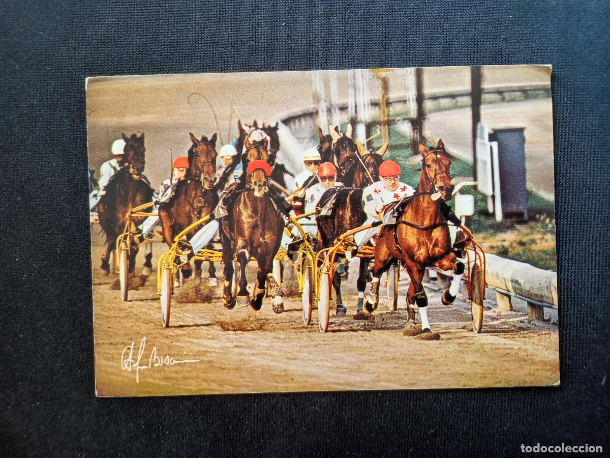 Coleccionismo deportivo: Postal de h&iacute;pica, carrera de caballos - Foto 1