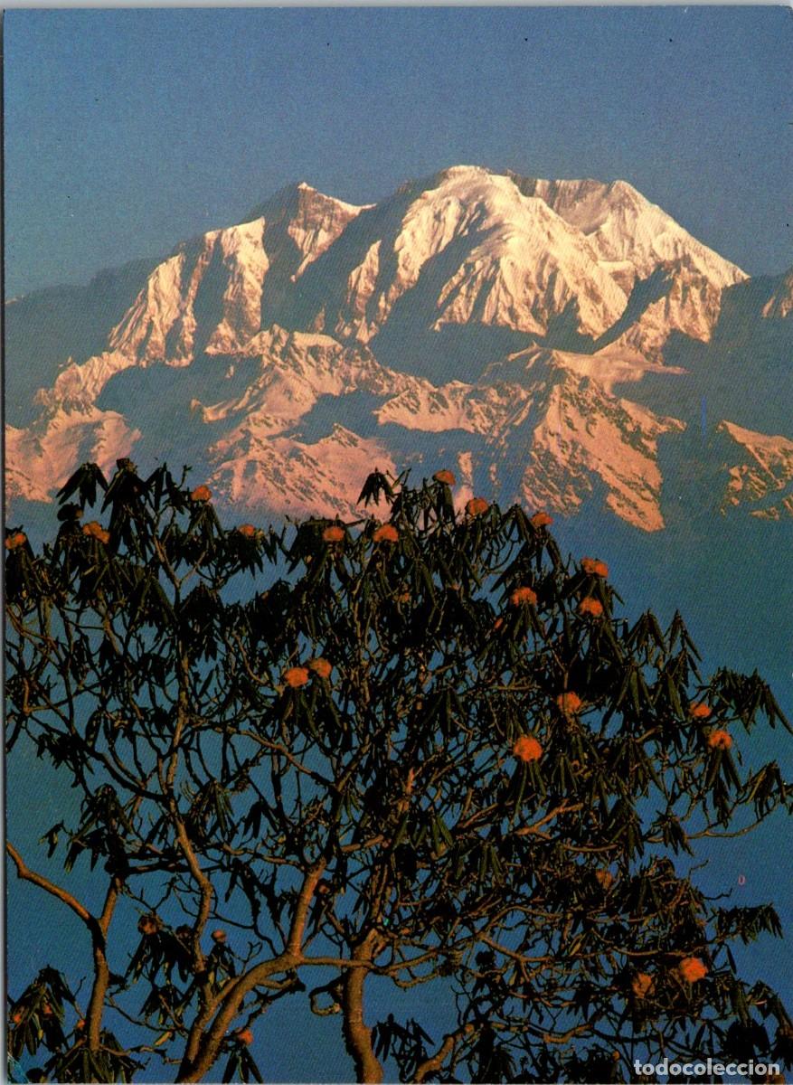 Coleccionismo deportivo: Alpinismo - Nepal - Mt. Annapurna II - Postal - 143x104mm