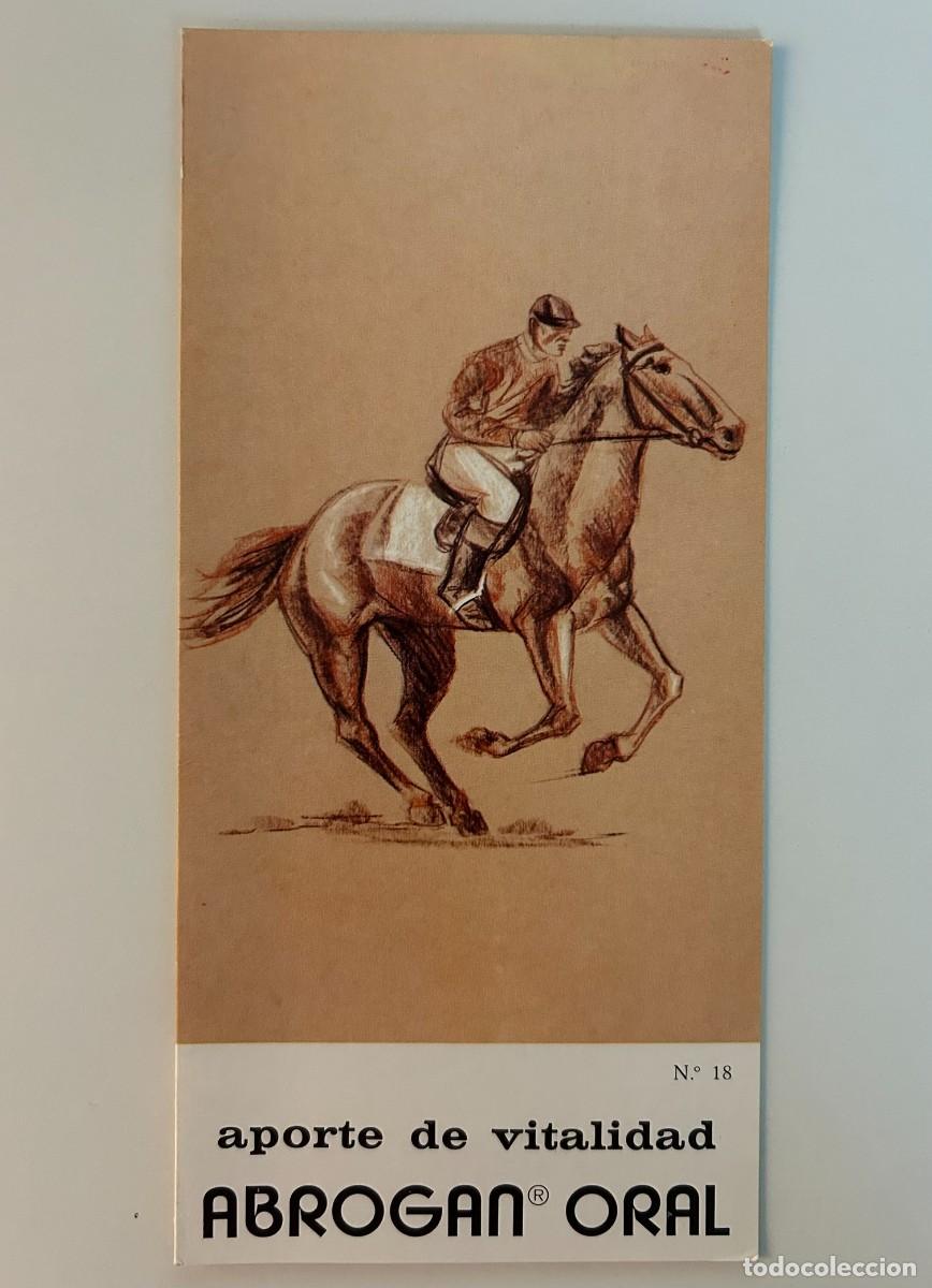 Sammelleidenschaft Sport: EQUITACI&Oacute;N #18 SERIE ILUSTRACIONES DE DEPORTES - D&Iacute;PTICO PUBLICITARIO ABROGAN ORAL - MADE 1975