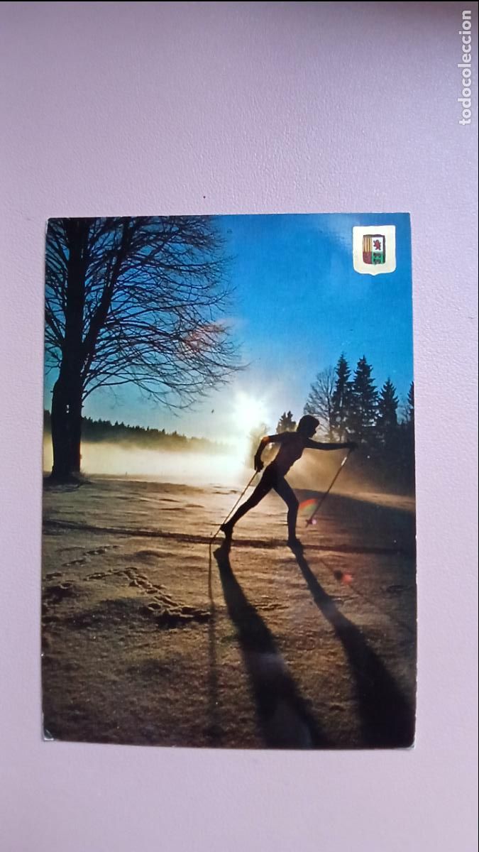 Sammelleidenschaft Sport: POSTAL ESQUI DE MUNTANYA DE FONS PIRINEU CATAL&Agrave; - ESCUDO DE ORO N&ordm; 238 S/C