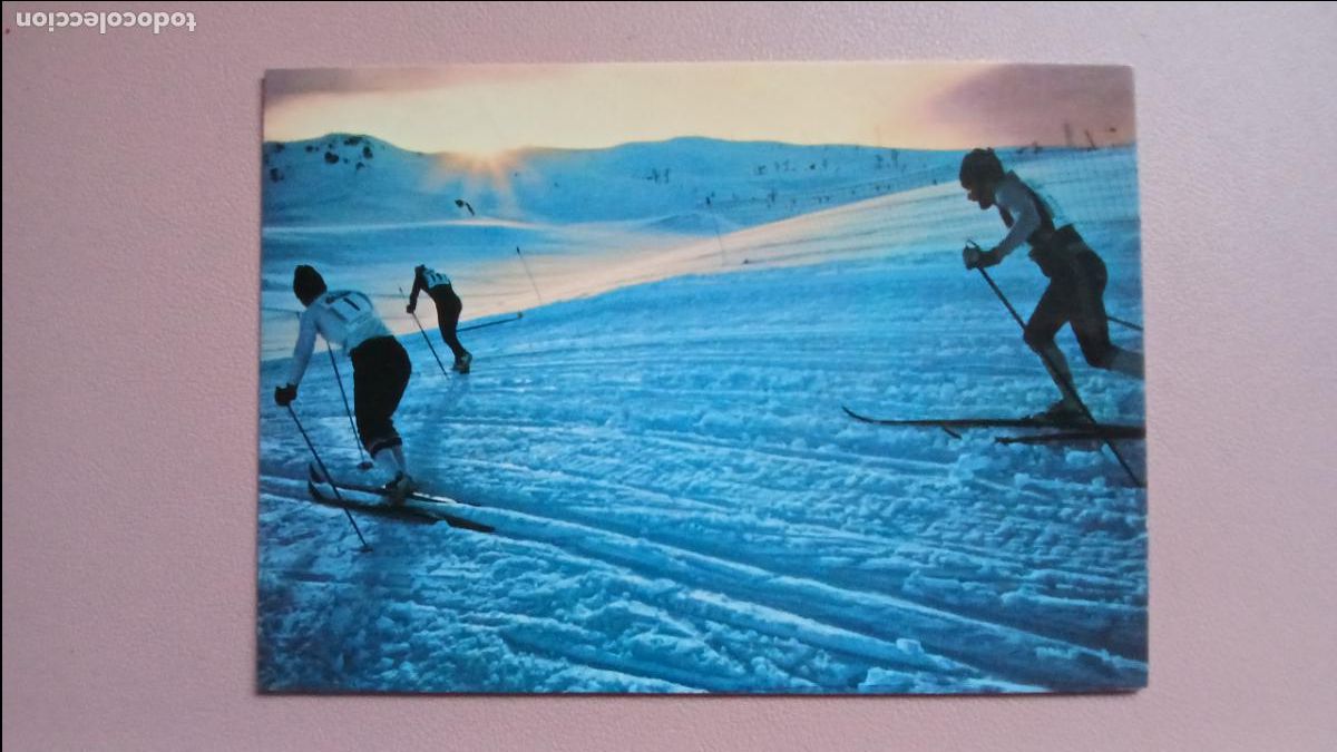 Coleccionismo deportivo: POSTAL ESQUI DE FONDO VINTAGE PIRINEU CATAL&Agrave; - KOLORHAM CAMPA&Ntilde;&Aacute; N&ordm; ME 137 S/C