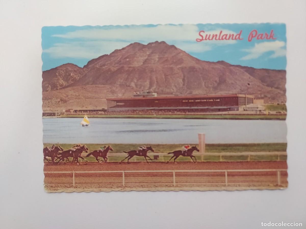 Coleccionismo deportivo: POSTAL CARRERAS DE CABALLOS. SUNLAND PARK, NEW MEXICO. Escrita. RACE COURSE, EL PASO