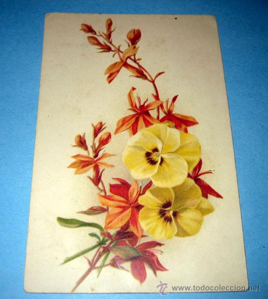 Postcards: ANTIGUA POSTAL DE FLORES - MUY BONITA ILUSTRACION - NO ESCRITA NI CIRCULADA