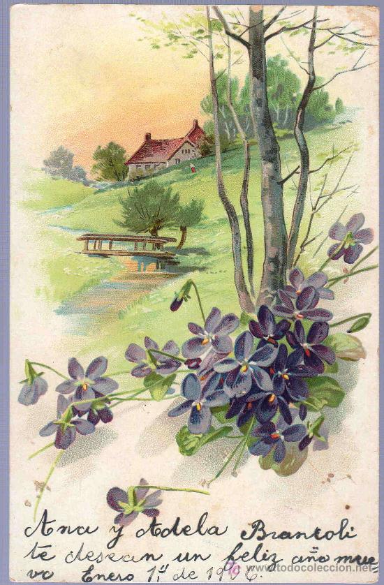 Postais: TARJETA POSTAL ANTIGUA DE FLORES. REVERSO NO DIVIDIDO