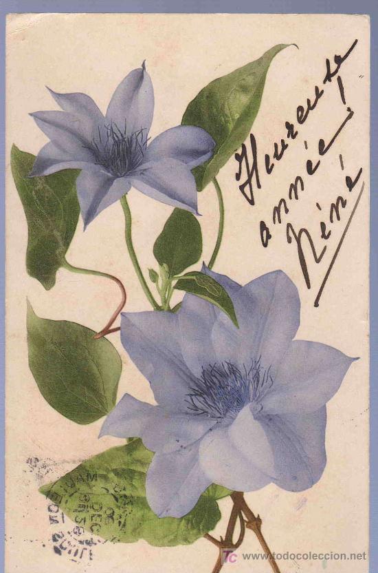 Postkarten: TARJETA POSTAL ANTIGUA DE FLORES. REVERSO NO DIVIDIDO