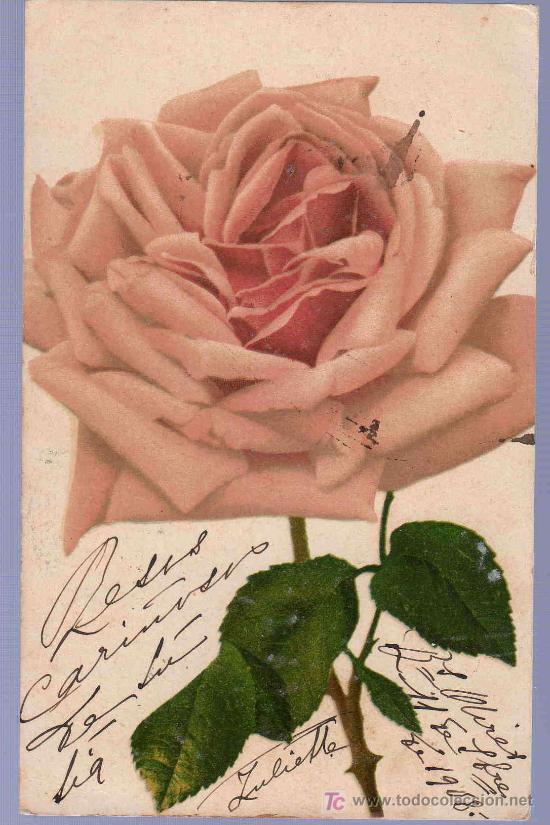 Postkarten: TARJETA POSTAL ANTIGUA DE FLORES.