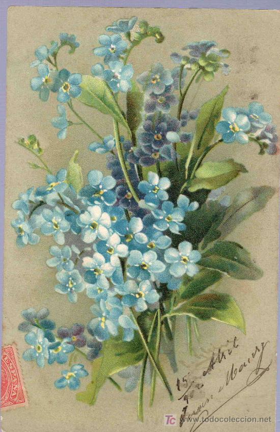 Postkarten: TARJETA POSTAL ANTIGUA DE FLORES. REVERSO NO DIVIDIDO