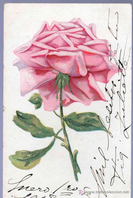 Postkarten: TARJETA POSTAL ANTIGUA DE FLORES.