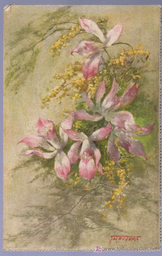 Postais: TARJETA POSTAL ANTIGUA DE FLORES.