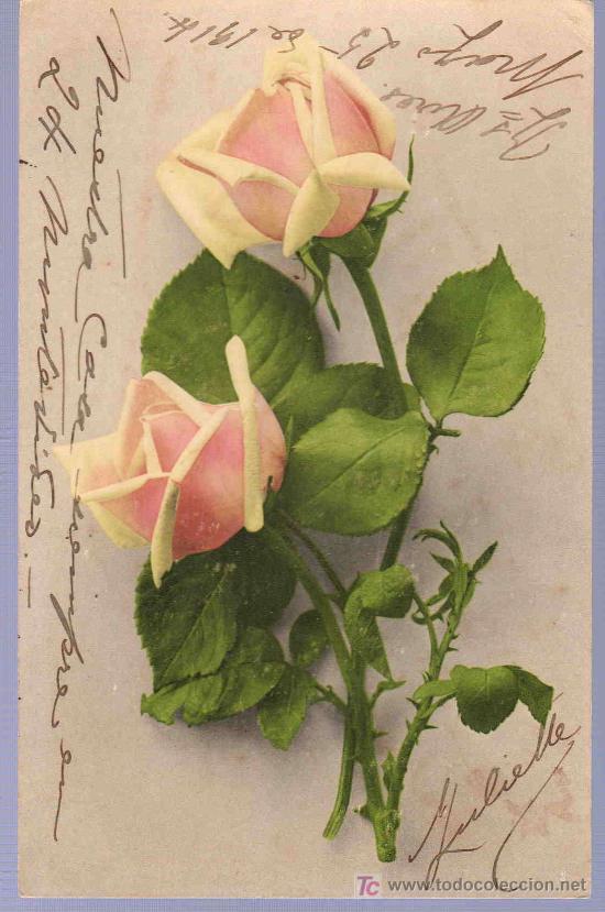 Cartoline: TARJETA POSTAL ANTIGUA DE FLORES.