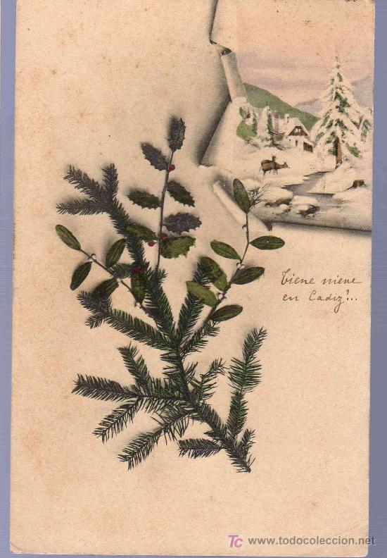 Cartoline: TARJETA POSTAL ANTIGUA DE FLORES.
