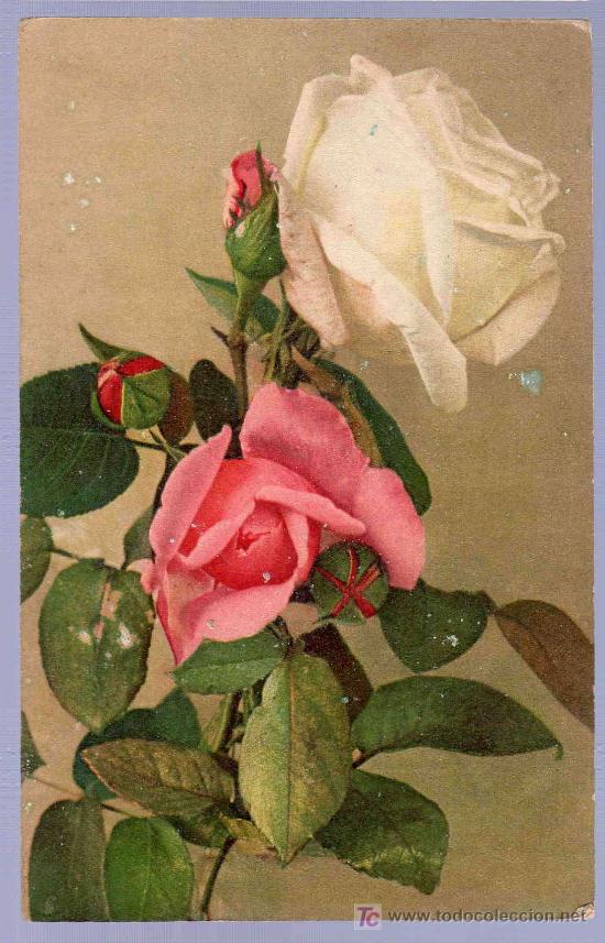 Cartoline: TARJETA POSTAL ANTIGUA DE FLORES.