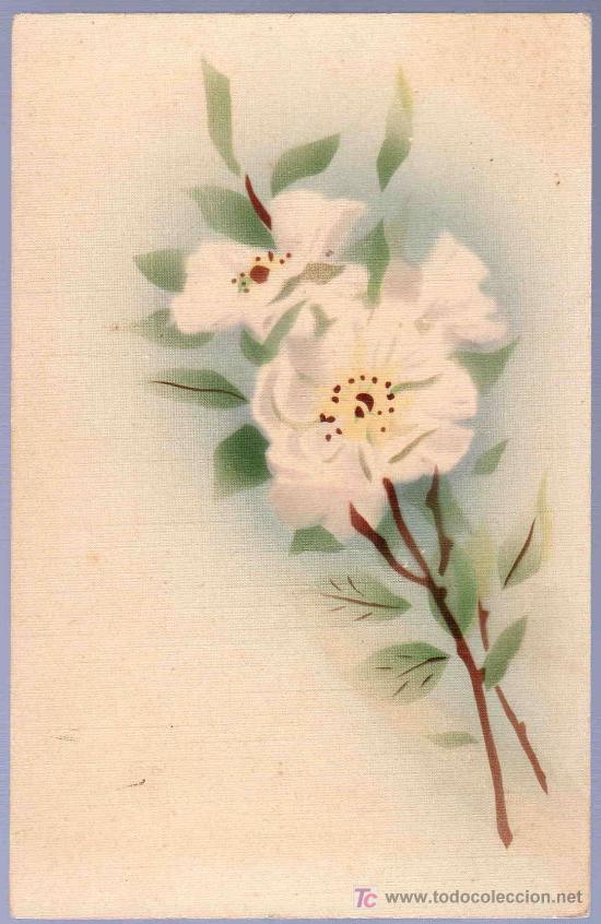 Cartoline: TARJETA POSTAL ANTIGUA DE FLORES.