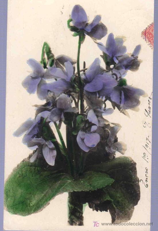Postkarten: TARJETA POSTAL ANTIGUA DE FLORES.