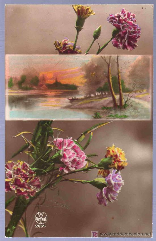 Postkarten: TARJETA POSTAL ANTIGUA DE FLORES.