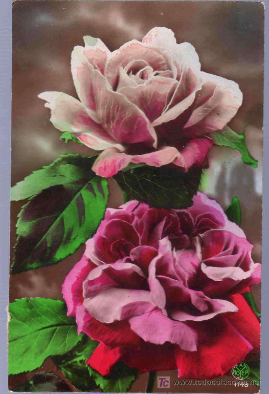 Postkarten: TARJETA POSTAL ANTIGUA DE FLORES.