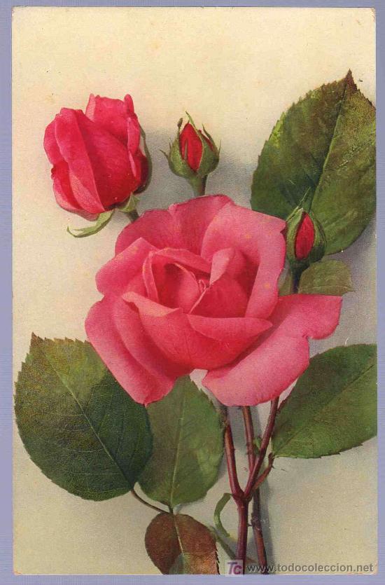 Postkarten: TARJETA POSTAL ANTIGUA DE FLORES.