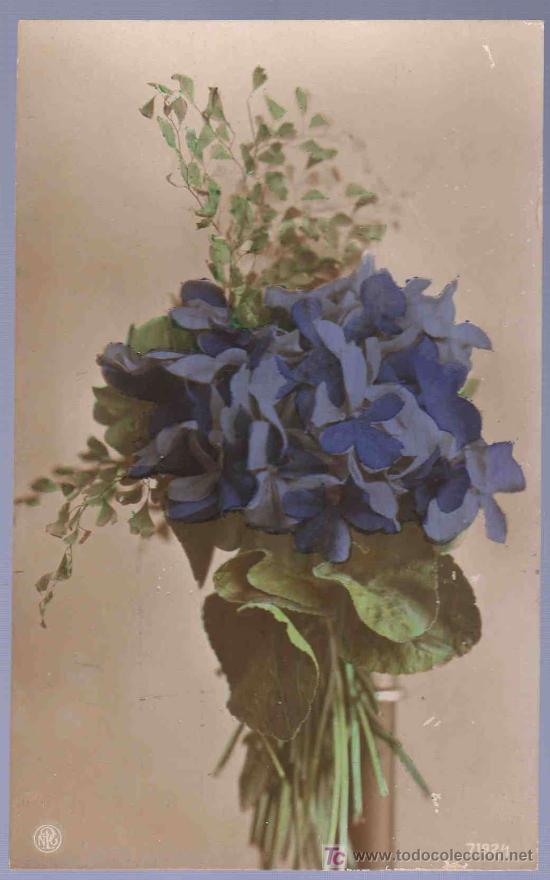 Postkarten: TARJETA POSTAL ANTIGUA DE FLORES.